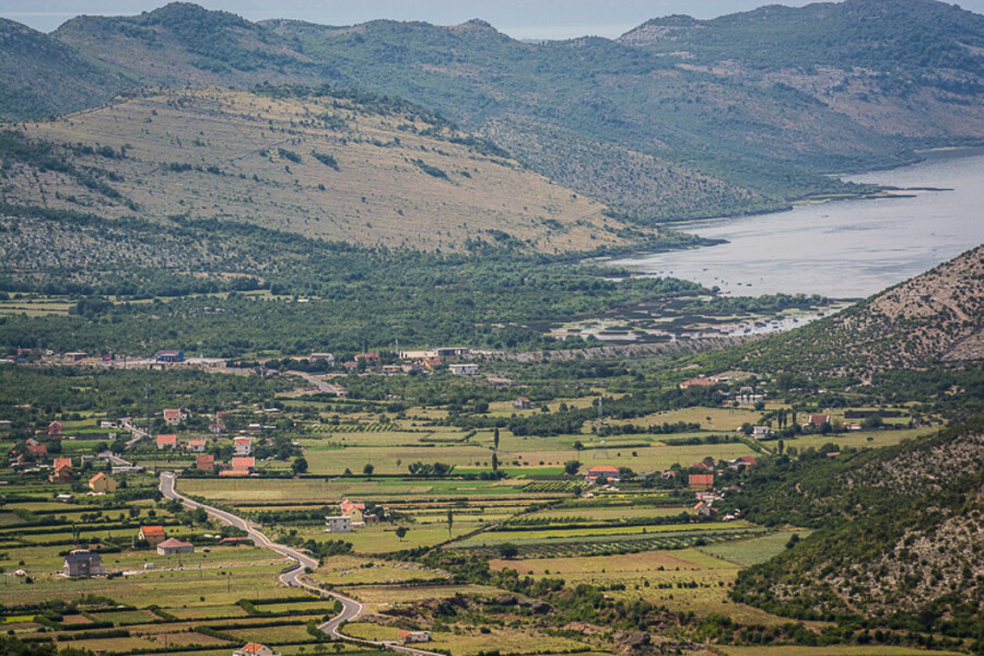 ALB_3363