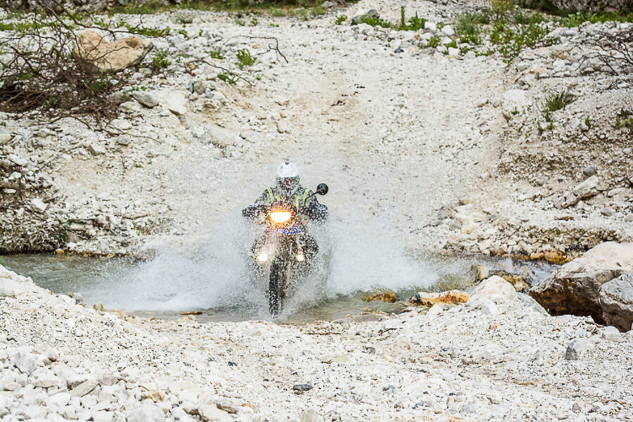 ALB_4312