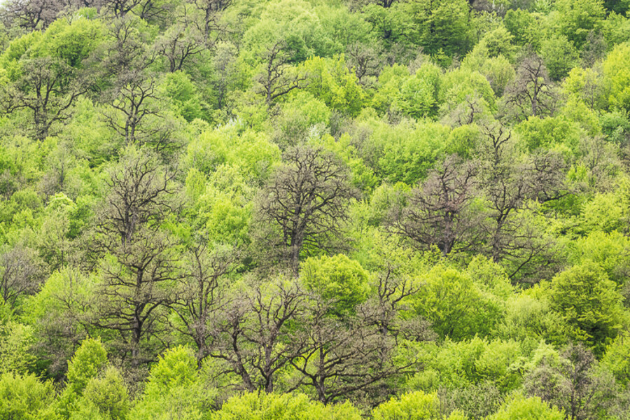 Armenie_0421