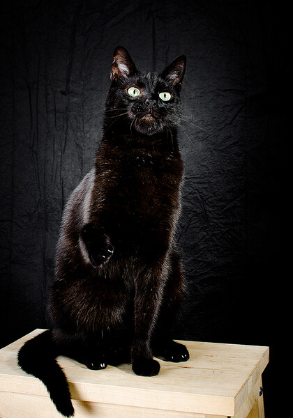Oskar