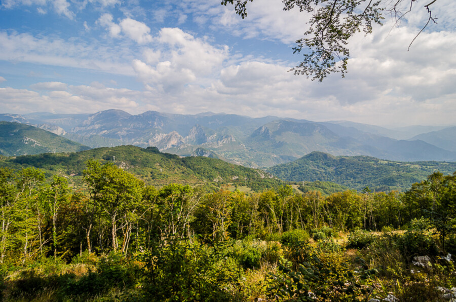 Boračko