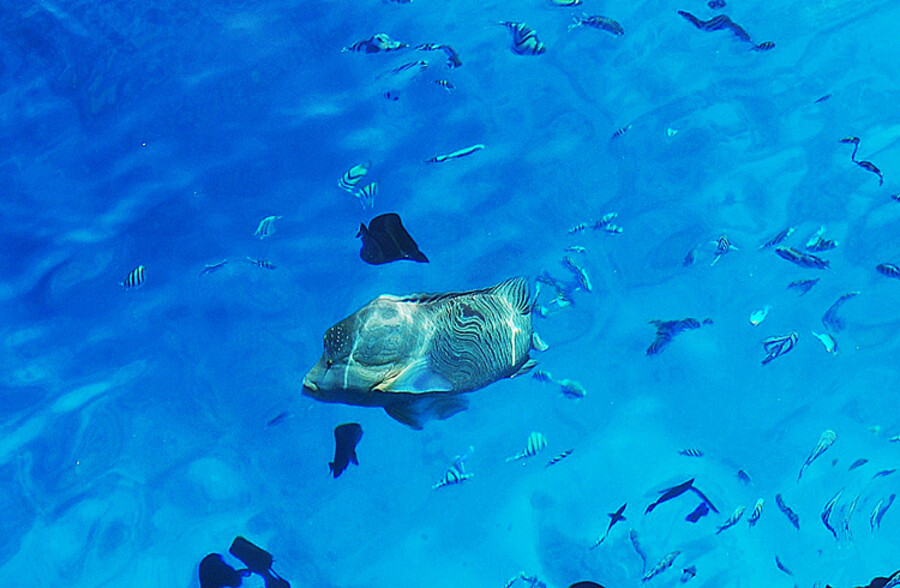 Hurghada