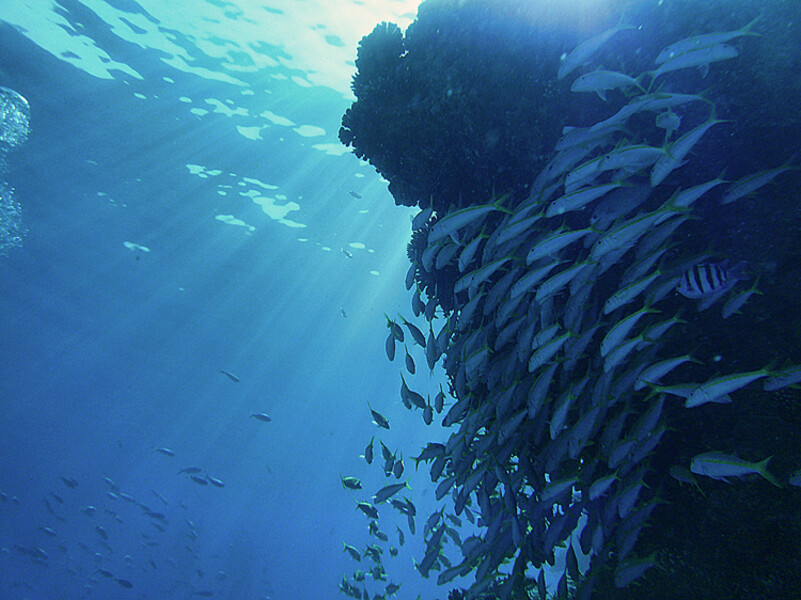 Hurghada