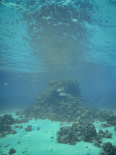 Dahab