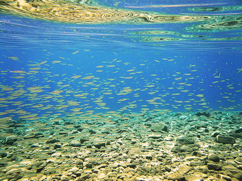 Dahab