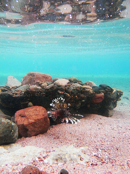 Dahab