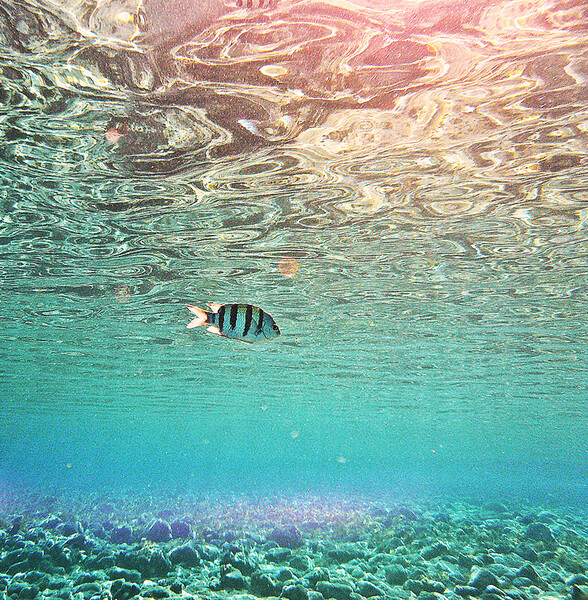 Dahab