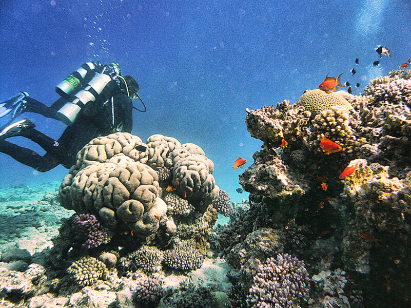 Dahab