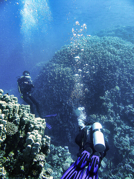 Dahab