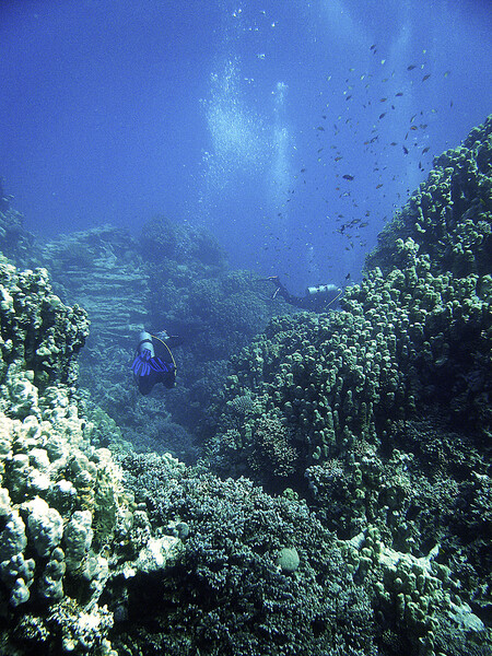 Dahab
