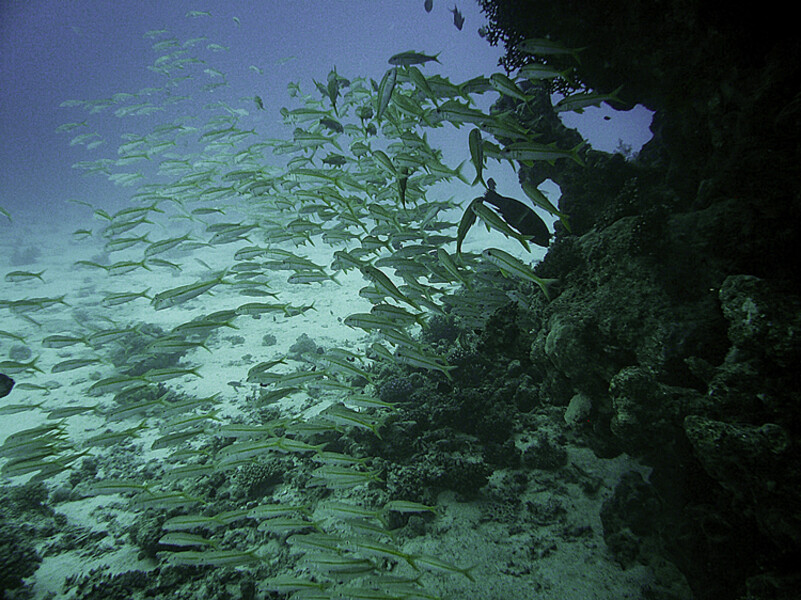 Hurghada