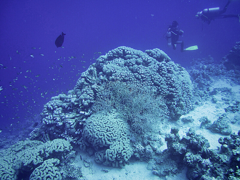 Dahab