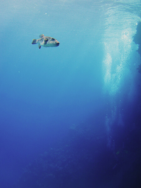 Dahab