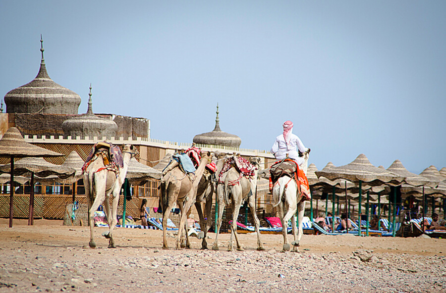 Dahab
