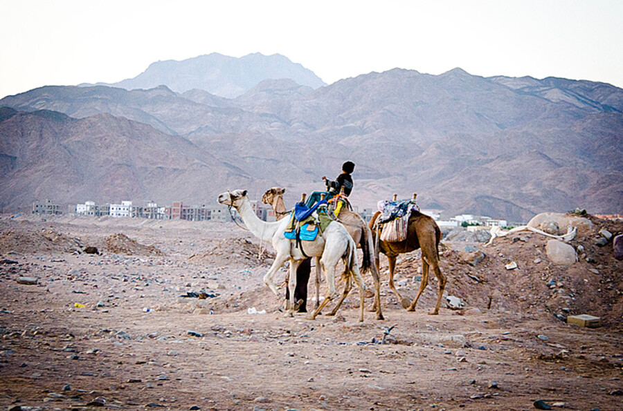 Dahab