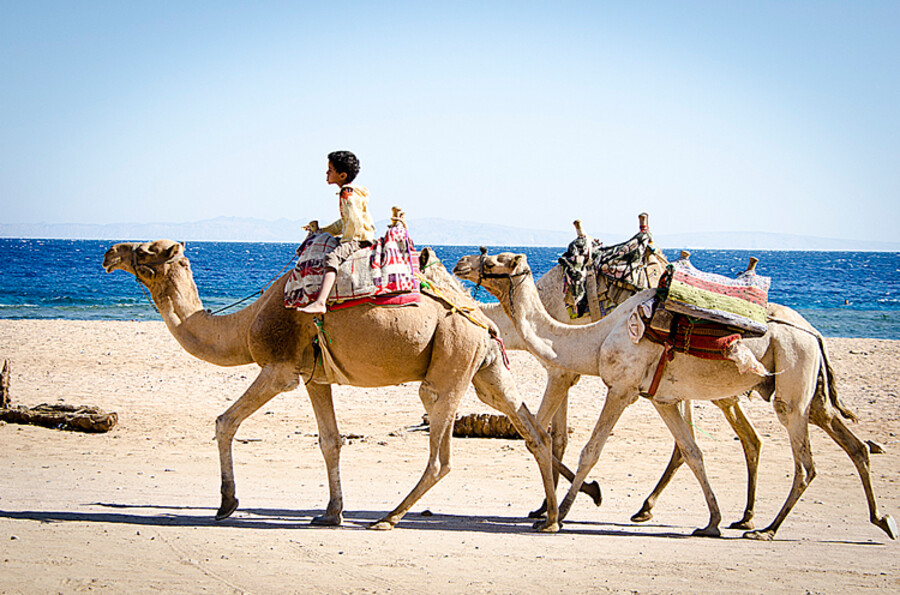 Dahab