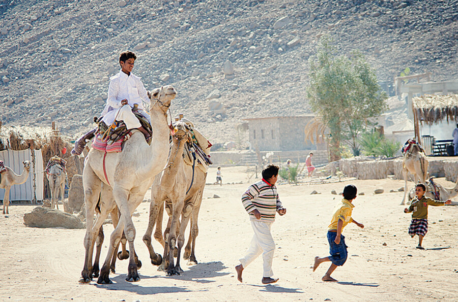 Dahab