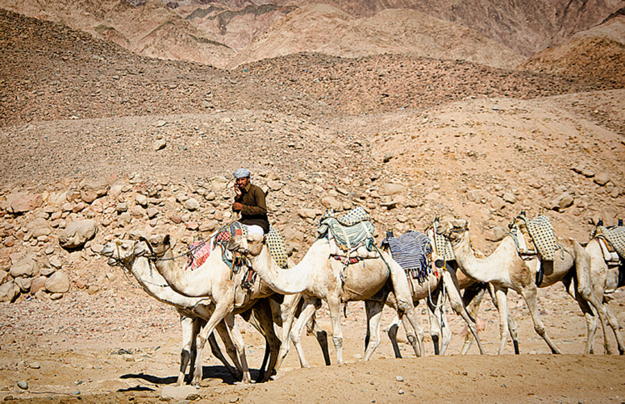 Dahab