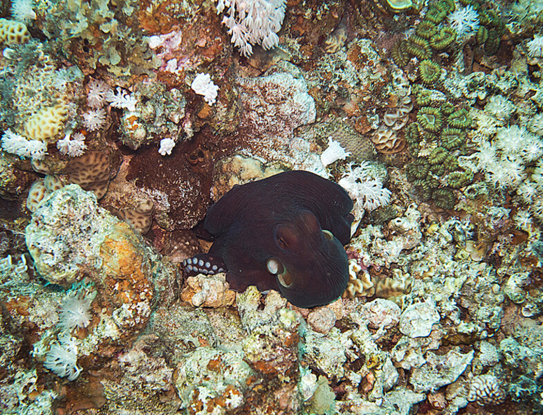 JMG_0028