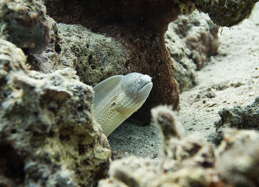 JMG_0053