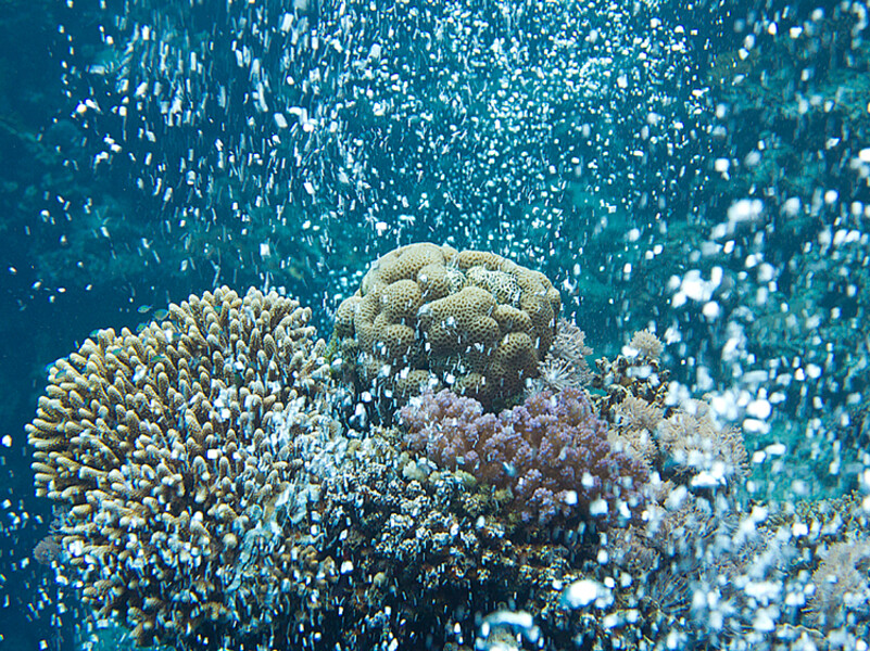 KMG_0108