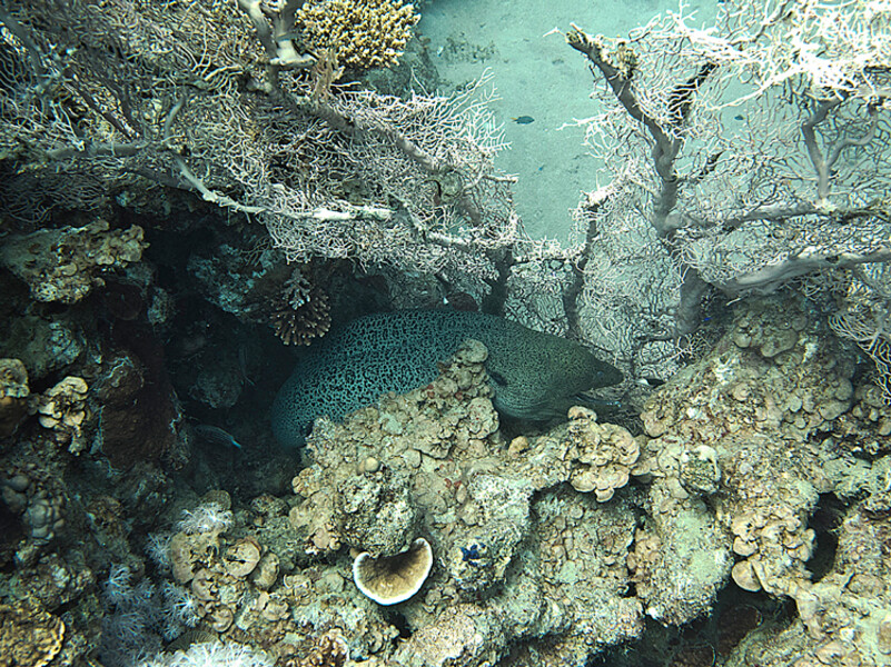 KMG_0226