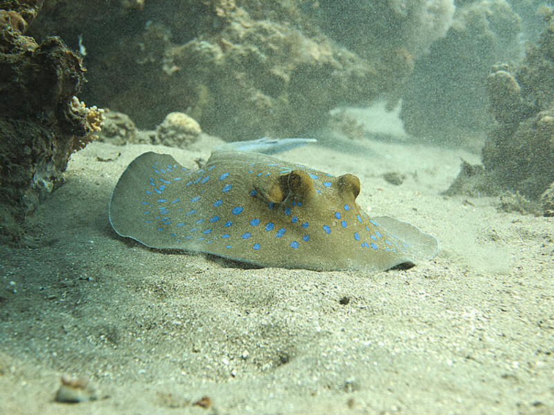 KMG_0431