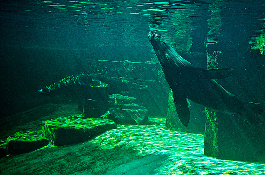 Zoo Praha