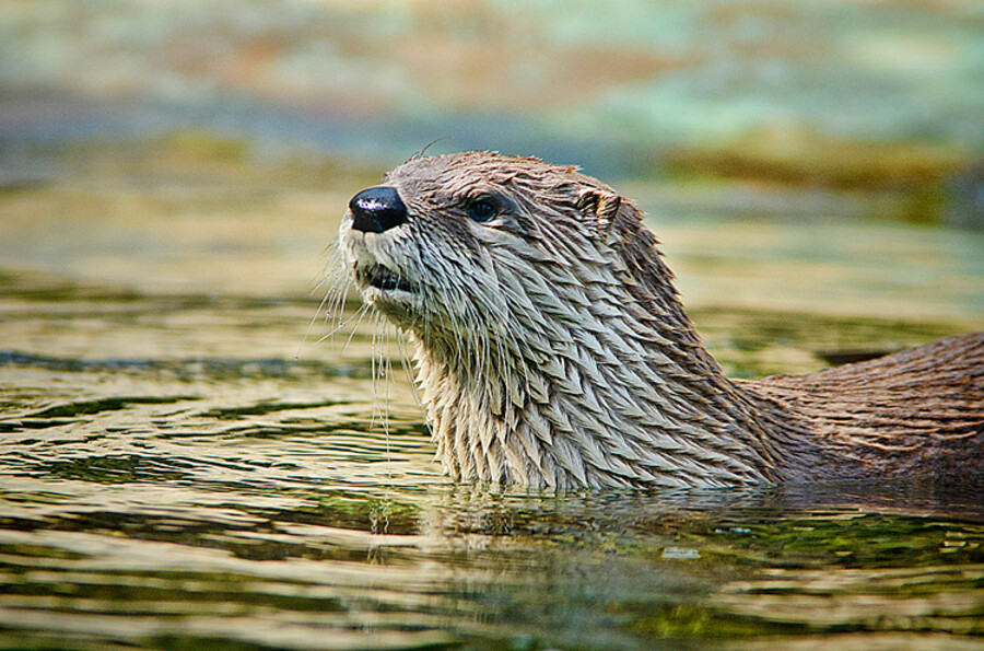 Zoo Praha