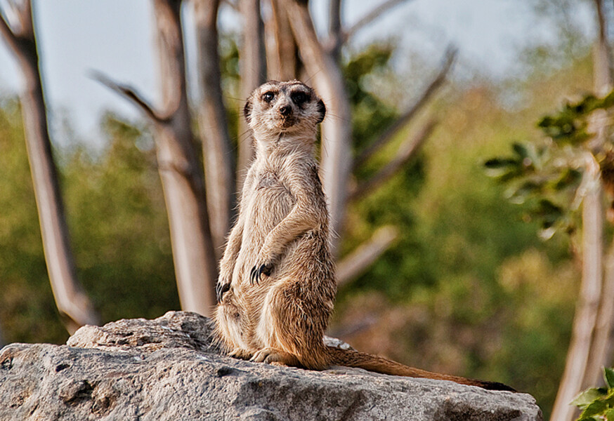 Zoo Praha