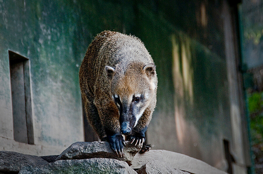 Zoo Praha
