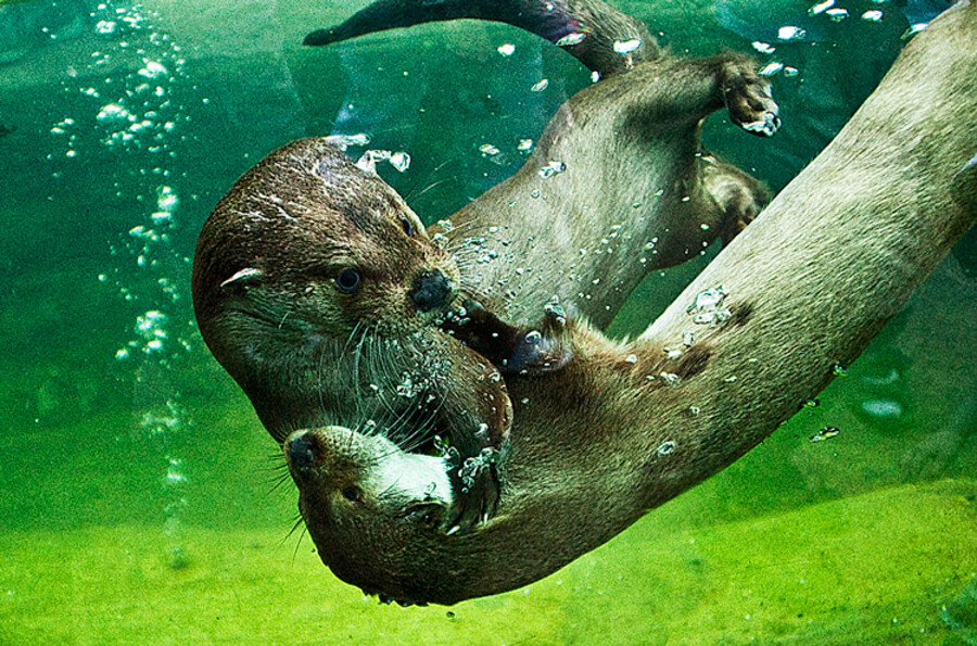 Zoo Plzeň