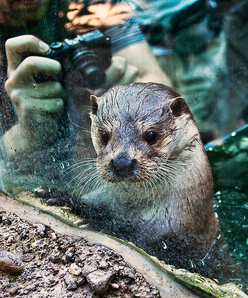 Zoo Plzeň