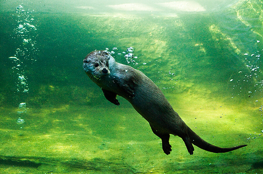 Zoo Plzeň