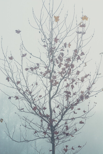 VOD_7965