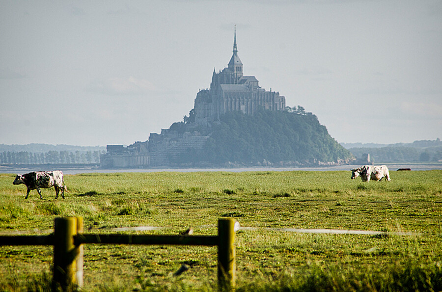 Le Mont Saint Michel