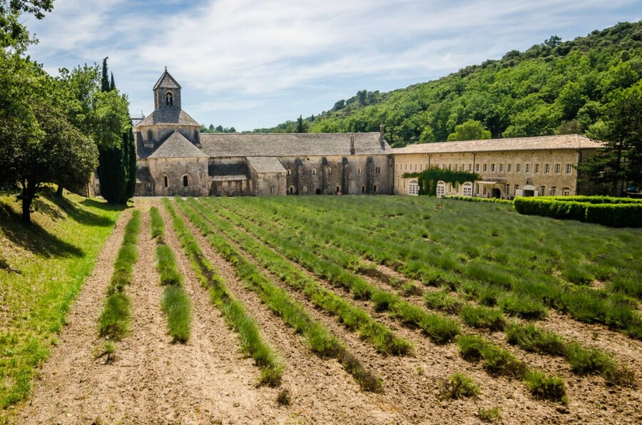 Abbaye Notre Dame de Senanque