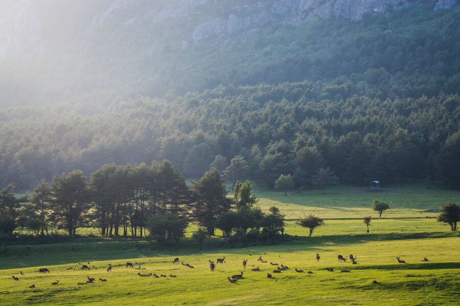 Reserve Biologique des Monts d\\&amp;#039;Azur