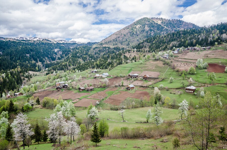Goderdzi