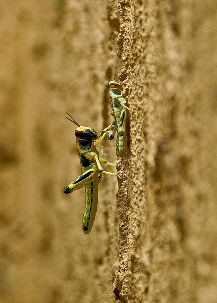 ZOO Praha