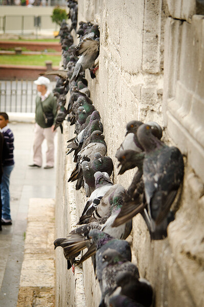 Istanbul