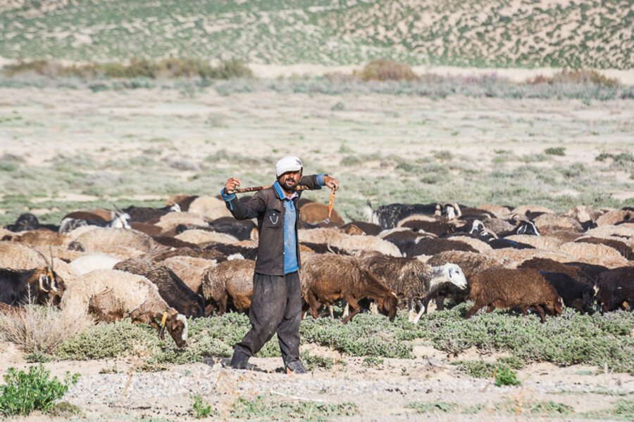 iran-roadtrip-2017_074