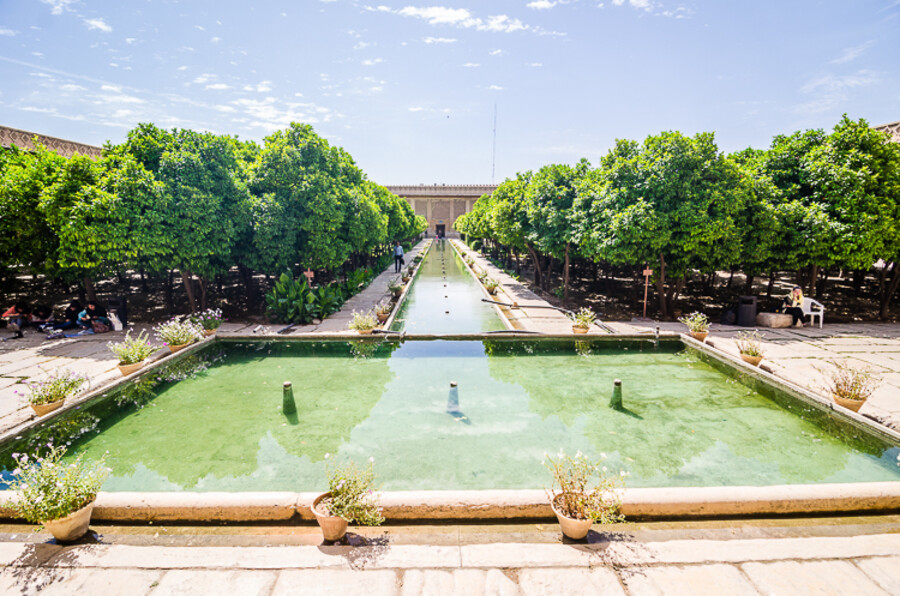 Shiraz