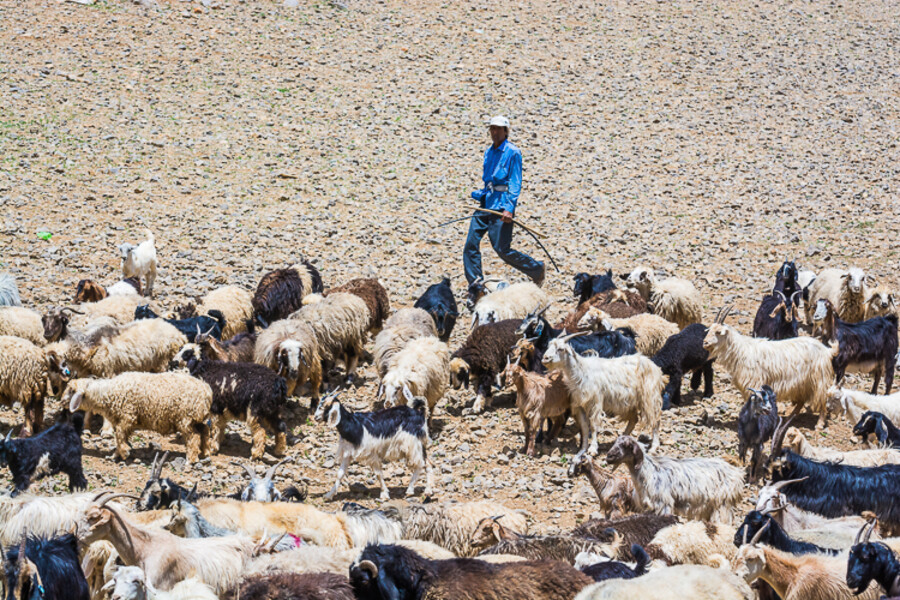iran-roadtrip-2017_325