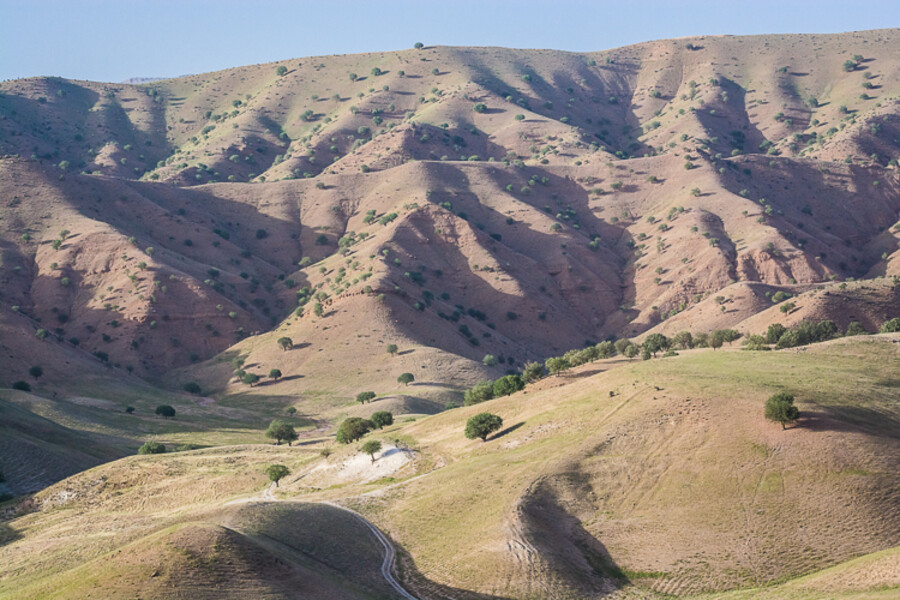 iran-roadtrip-2017_340