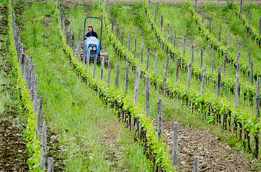 Radda in Chianti