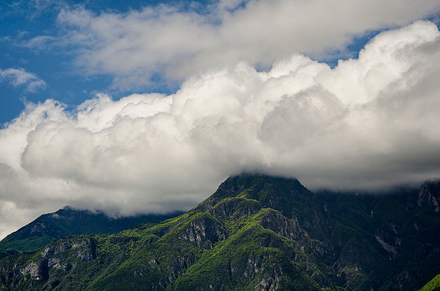 Trento
