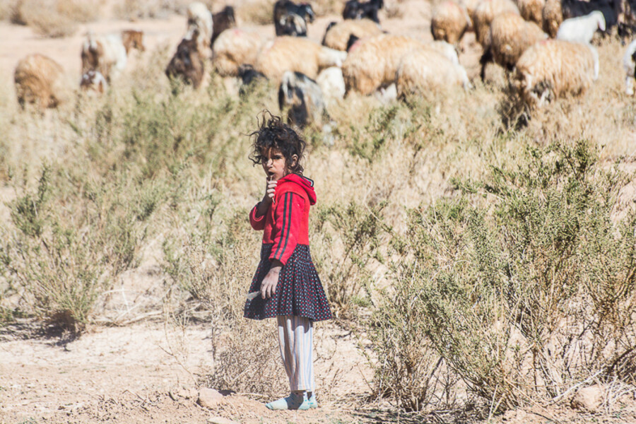 Jordansko2016_1315v