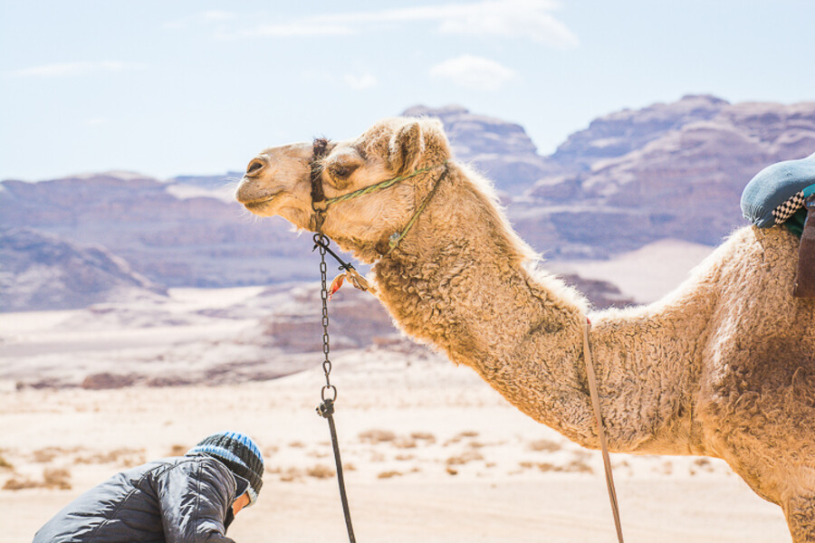 Wadi Rum