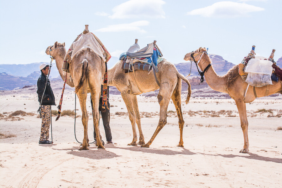 Wadi Rum